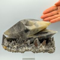 ENORME DOPPELENDIGE CALCITE mit PYRIT, 18 cm Kristalle, USA
